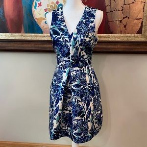 Beautiful Vintage-look dress